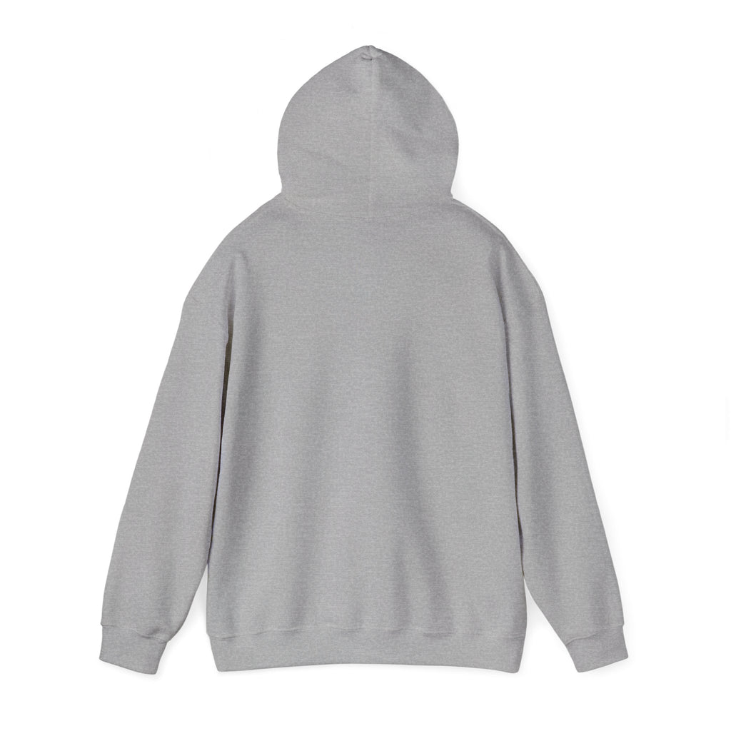 Make Justice Blind Again Unisex Hoodie | Free Speech Sweatshirt, Cozy Fashion, Everyday Wear, Political Apparel