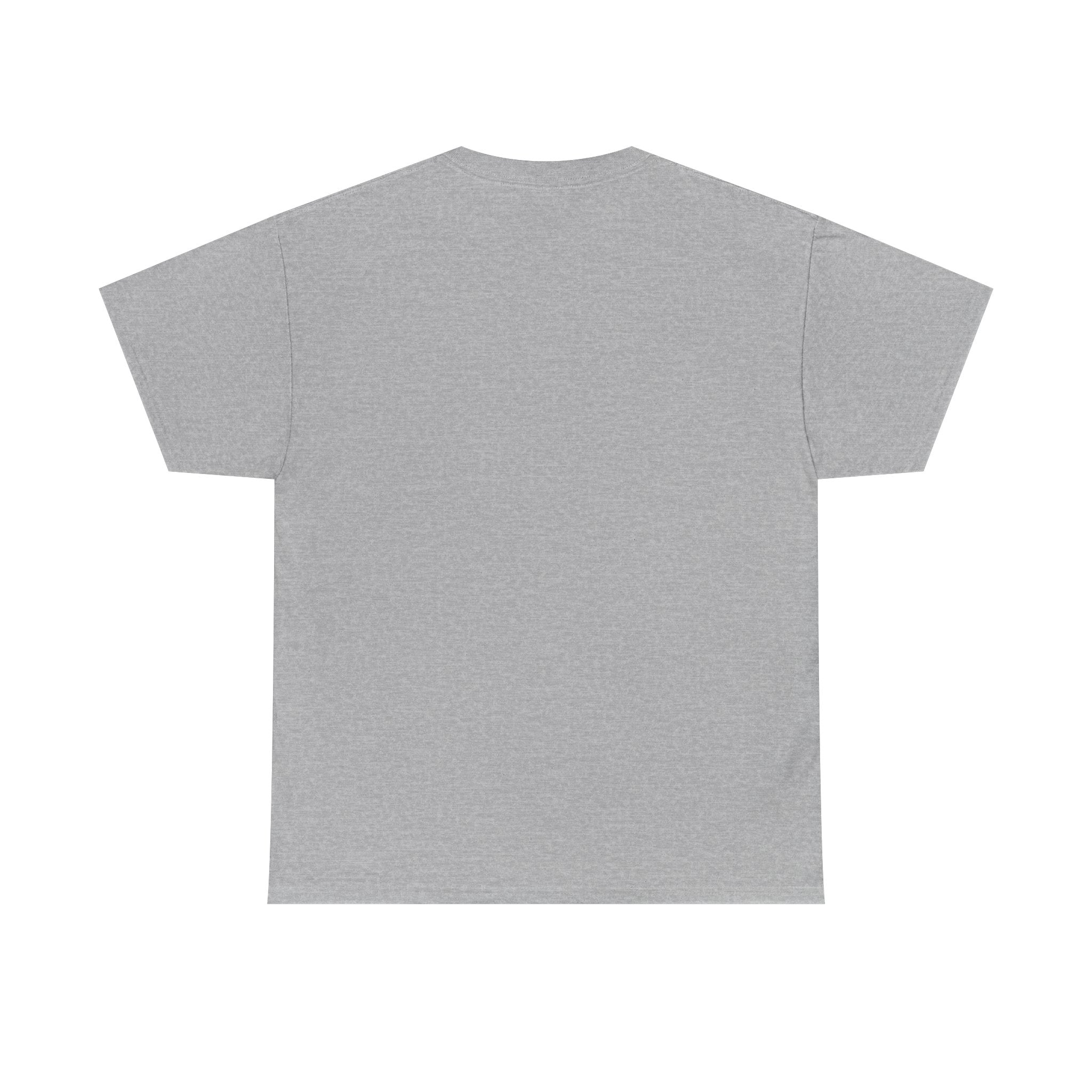 C'mon Do Something Funny England Meme T-Shirt | Unisex Heavy Cotton Tee | Sad Lion & Knight Cartoon National Pride Shirt | England T-shirt