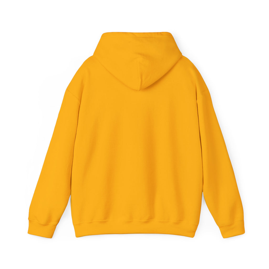 Make Justice Blind Again Hoodie | Unisex Sweatshirt for Rallies & Activism, Free Speech Marches, Political Protest apparel Cosy Days at Home