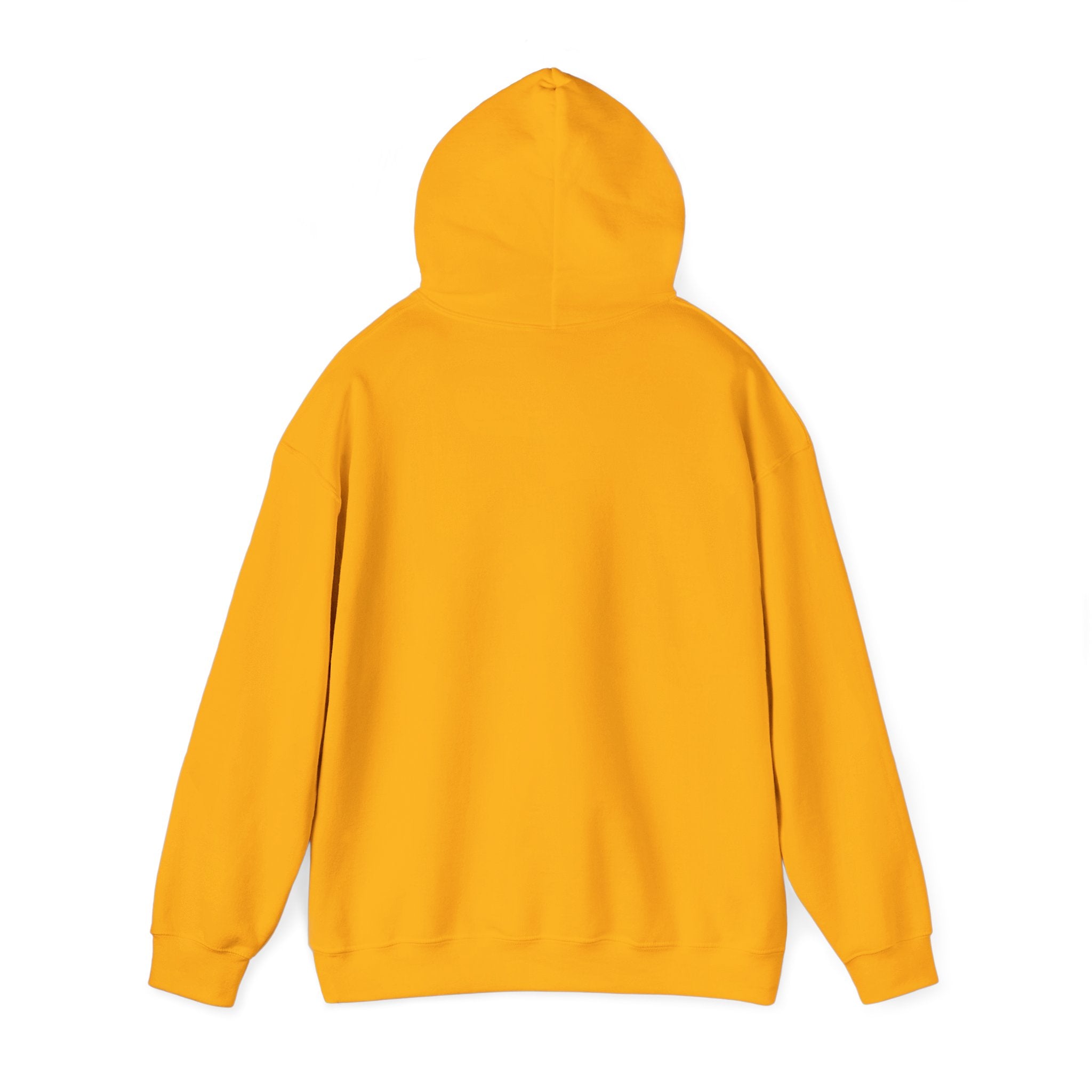 Make Justice Blind Again Hoodie | Unisex Sweatshirt for Rallies & Activism, Free Speech Marches, Political Protest apparel Cosy Days at Home